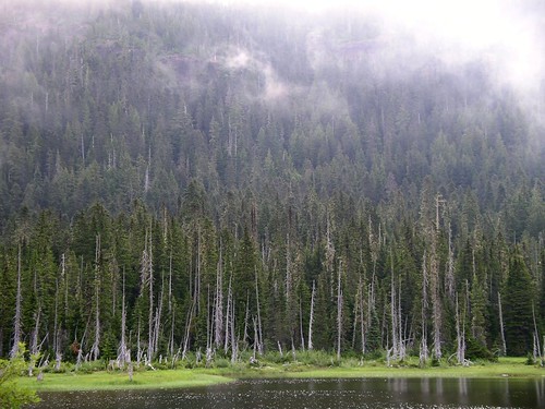 Misty Strathcona lake