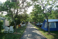 La Rive Campsite May-June 2005