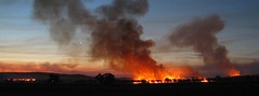 bushfire & burnoff