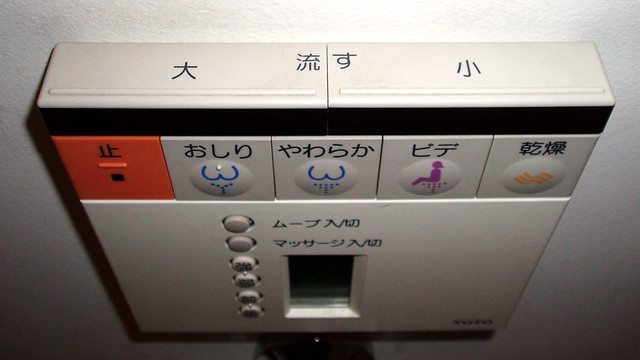 toilet controls #6427