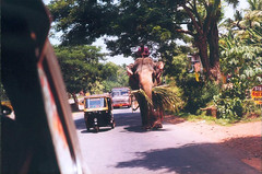 Kerala-Thrissur Guruvayur 