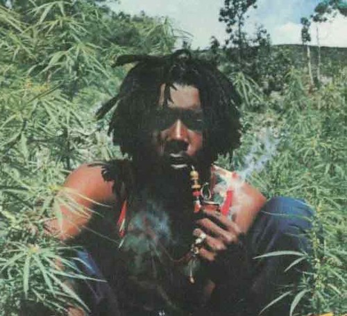 Peter Tosh in a Photograph Found on His First Solo Album "Legalize It" Which Debuted in 1976 by panafnewswire