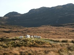 hills of Donegal