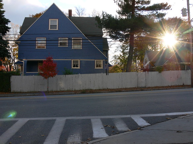 Blue house, red tree, sunspot.