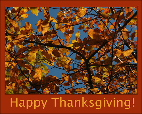 Happy Thanksgiving by Alida's Photos