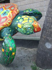 Turtle Tours