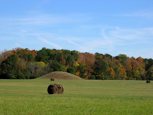 Pharr Mounds, near Tupelo, MS