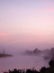 fog & mist