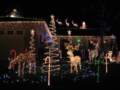 Christmas Lights 2006