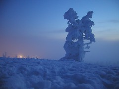 Northern Finland - Winter 1