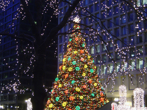 Chicago: Daley Plaza Christmas Tree (2006)