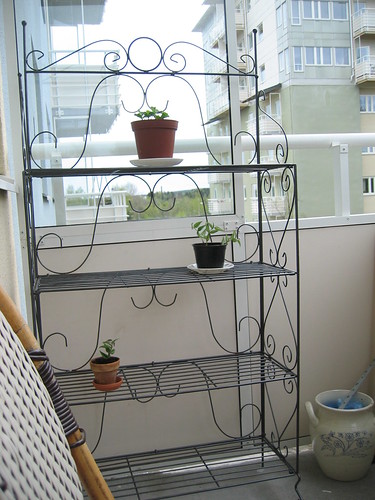 Shelf for the balcony