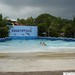 aquapark piscina de olas