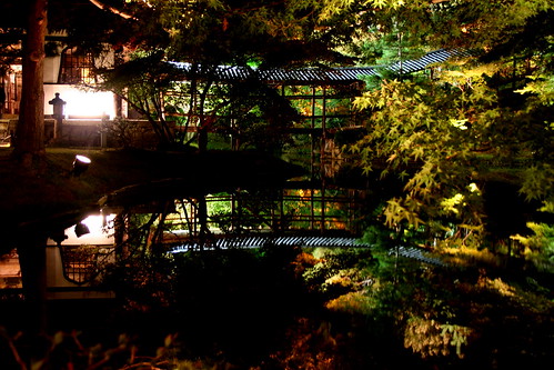 Kyoto - Kodai-Ji 高台寺（臥龍池）