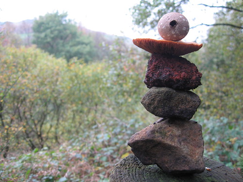 Fungal Rock Balance