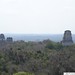 Peten Tikal templos