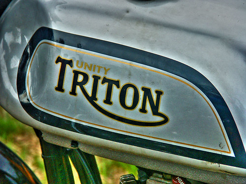Unity Triton by nick.garrod