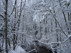Snow Day (2007)