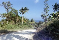 desa desa di pulau  Yamdena