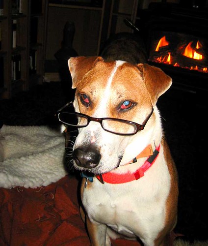 Max & glasses.jpg