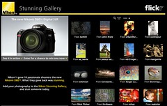 Nikon Stunning Gallery Attendees