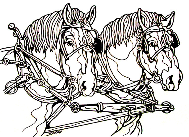 camera horse coloring pages - photo #41