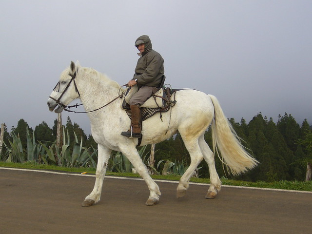 Caballo blanco (White horse)