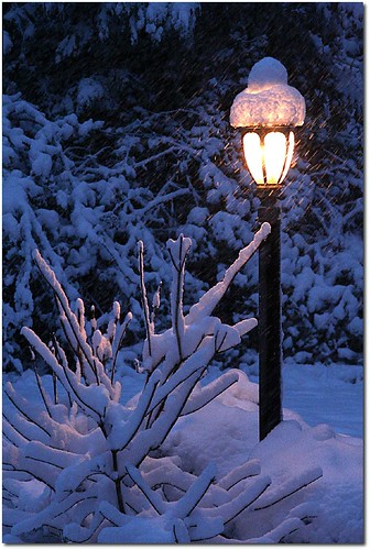 Lamp Post of Narnia?