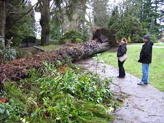stanley park mess