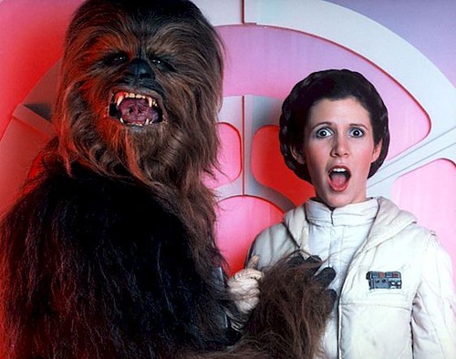 Star Wars Chewie Loves Leia Chewie groping Leia