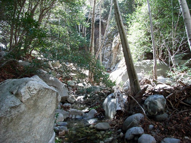 Bear Canyon Trail 020