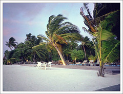 Maldives 1999