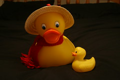 Quack Quack Jill