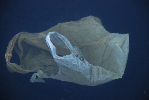 水域中漂浮的塑膠袋和塑膠垃圾。（圖：polandeze）