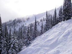 Skiing, Whistler, Canada, February 2007