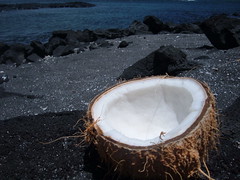 coconut: best source of saturated healthy fat