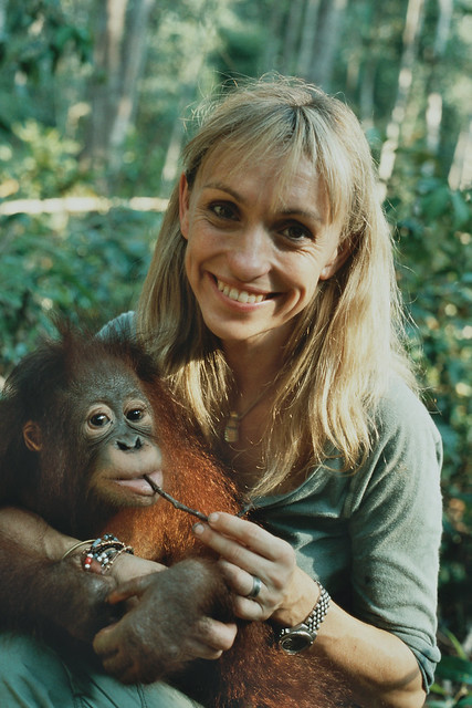 Michaela Strachan at Nyaru Menteng for Orangutan Diary