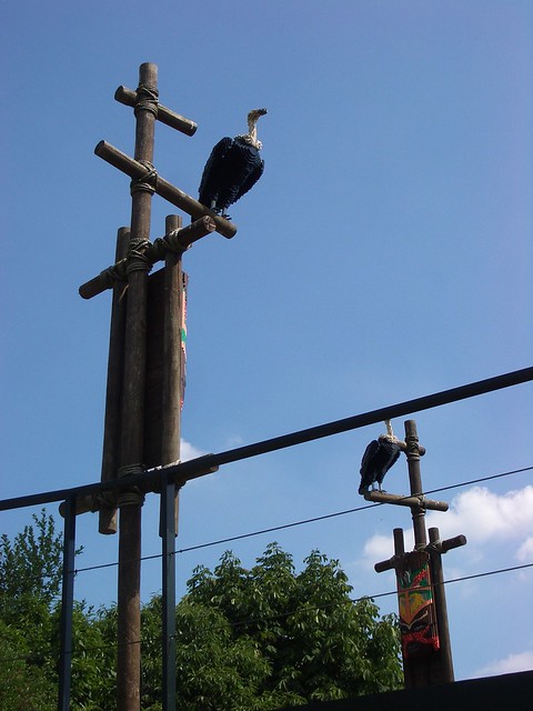 Vulture, Legoland