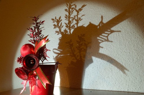 Christmas shadow
