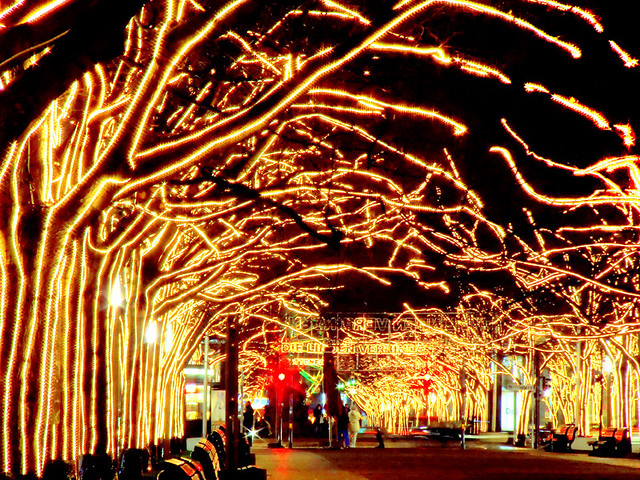 Xmas lights - Unter den Linden - Berlin - Christmas atmosphere ...