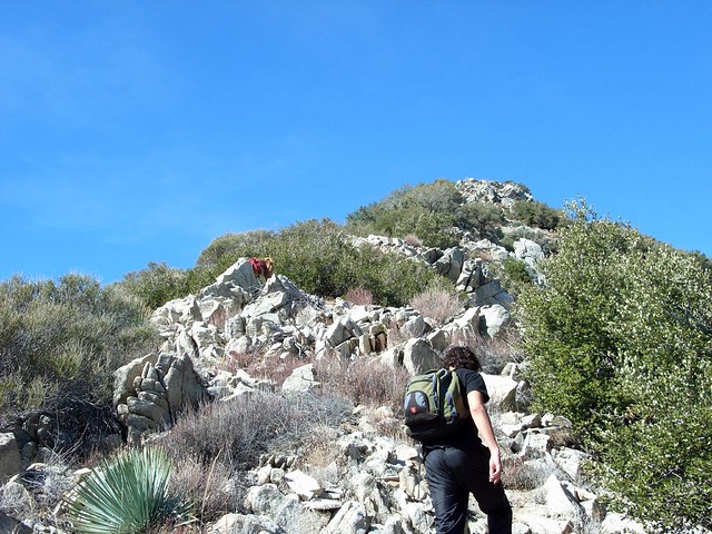 Condor Peak via Trail Canyon 036