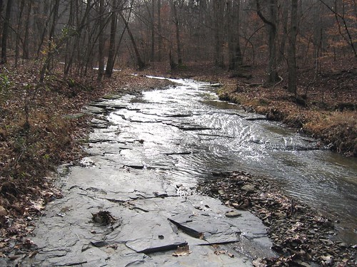 New Albany shale creekbed