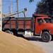 Turhal: il mercato del grano - Wheat market