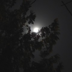 Night Images