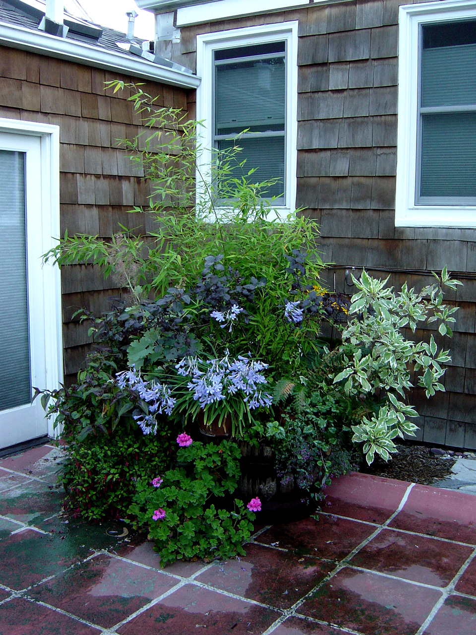 Container Gardening | Flickr - Photo Sharing!