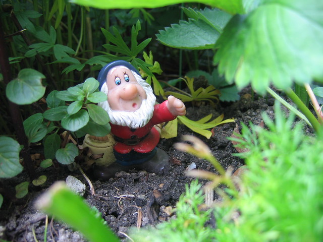 garden gnome dressed up as dwarf