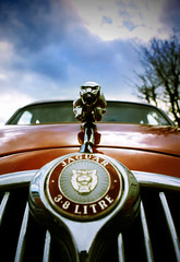 Jaguar's and Daimlers's