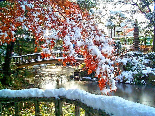 美しい日本 。。。 Das schöne Japan   356833376_285082fe19_z
