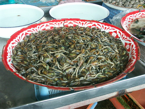 Lingulids, Thai market