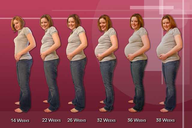 Pregnancy Progression